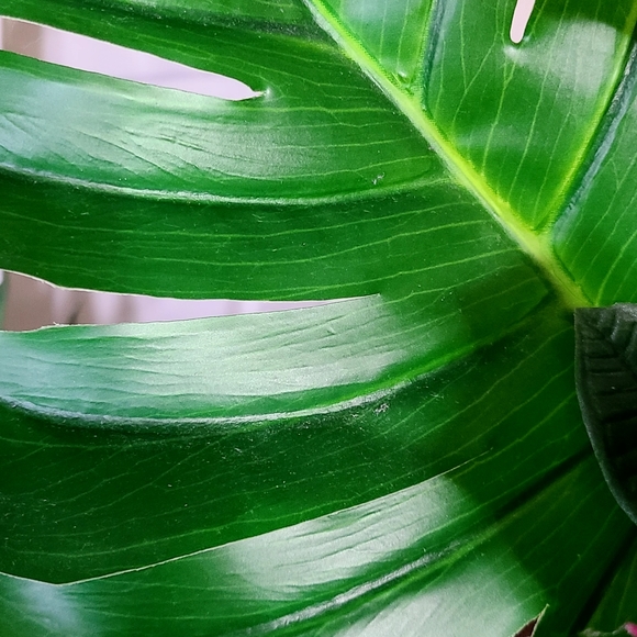 Handmade Home Decor - Picture 8 of 10